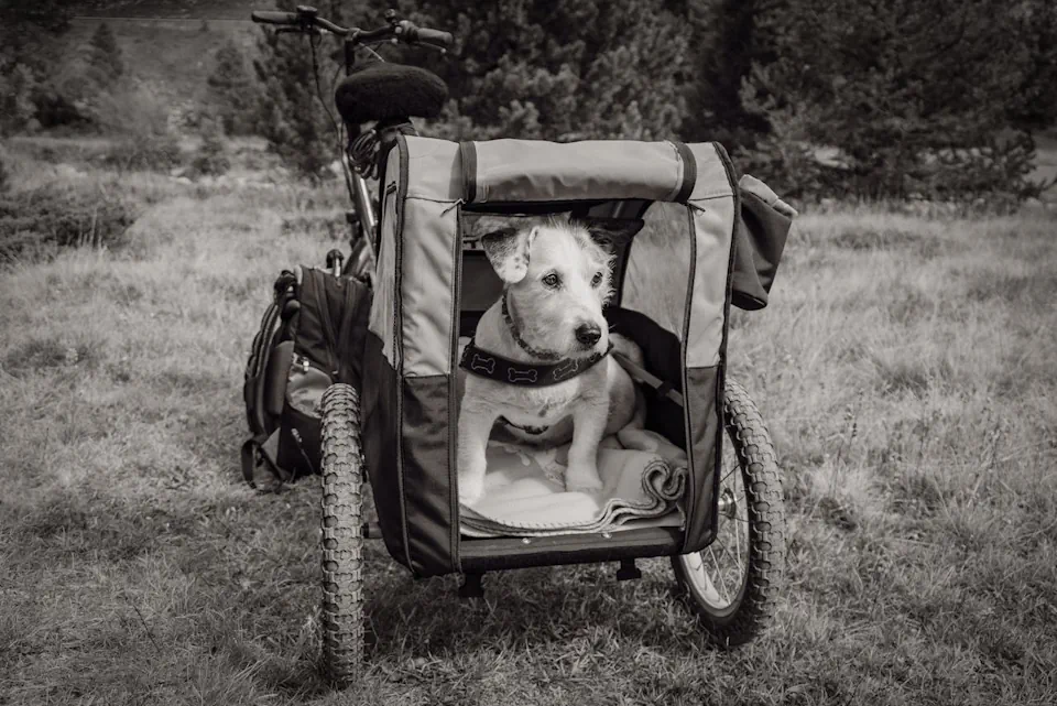 cykelvagn