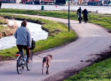 cykla-med-hund