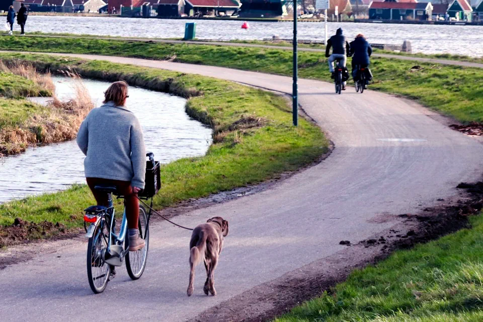 cykla-med-hund