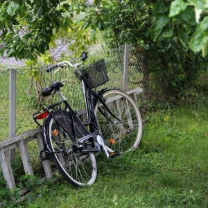 Förmånscykel